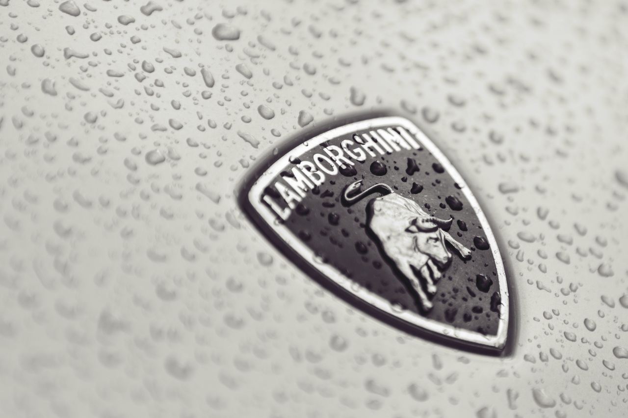 Lamborghini logo