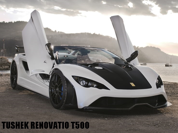 TUSHEK RENOVATIO T500
