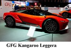 5 GFG Kangaroo Leggera